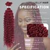 100g 22 Inch Human Braiding Hair 99J Red Deep Wave Bulk Human Hair for Braiding No Weft 12A Brazilian Virgin Curly Human Hair Extensions for Boho Braids Wet and Wavy Burgundy Braiding Hair view 2
