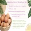 Rice and Papaya Enzyme Powder with Egg Whites - All Natural Face Exfoliator - Pore Purifying - Fights Wrinkles, Sagging Skin, Dry Skin, Improves Face Tone and Texture  2.1 oz view 3