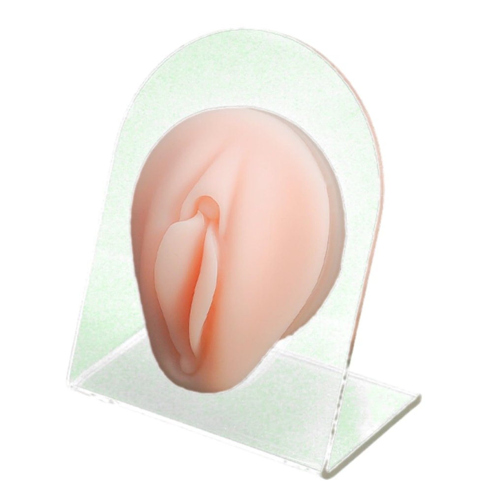 Wisfancy Soft Silicone Flexible Model Women nose lips Body Part, Silicone Nose Model for Piercing Practice and Jewelry Display Acupuncture Teaching Tool, Education (Nude)