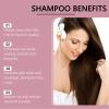Anti Hair Loss Shampoo,300ml Anti-Hair Fall Loss Shampoo,Promotes Growth for Women (3PC) view 2