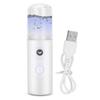 Portable Water Replenishing Spray Face Mist Sprayer Deep Hydrating Portable USB Face Steaming Skin Care Humidifier view 2