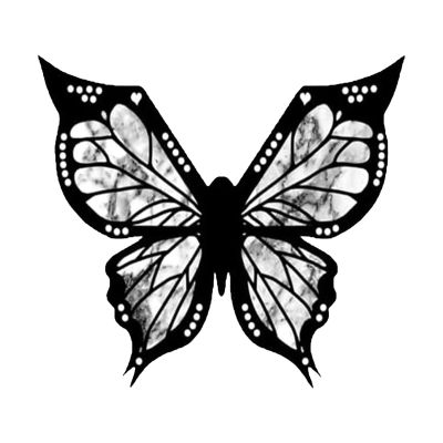 BOGEEL Butterfly Stencils Eye Applicator Guide Tool Reusable Stencils Eye Makeup Tool Easy to Use for Makeup