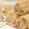 Balifeel Organic Natural Loofah Sponges 4.7'' Luffa Spa,Pack of 4 Exfoliating & Smooth Skin Bath Shower Loofas Loofa for Women and Men Body Scrubber view 3
