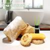 Balifeel Organic Natural Loofah Sponges 4.7'' Luffa Spa,Pack of 4 Exfoliating & Smooth Skin Bath Shower Loofas Loofa for Women and Men Body Scrubber view 4