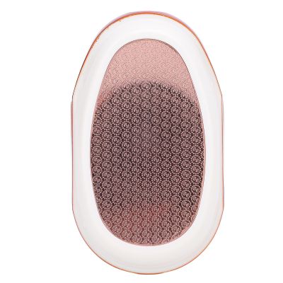 2 in 1 Stainless Steel Foot Scraper, Home Foot File Callus Remover Simple Use and Effective Exfoliation for Dead Skin and Calluses (Gold)