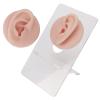 ZJchao Fake Ears, Ear Model Soft Silicone High Simulation Fake Body Parts Silicone Earrings Human Ear Model for Piercing Practice and Jewelry Display Acupuncture Teaching Tool (2) view 2