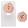 ZJchao Fake Ears, Ear Model Soft Silicone High Simulation Fake Body Parts Silicone Earrings Human Ear Model for Piercing Practice and Jewelry Display Acupuncture Teaching Tool (2) view 4