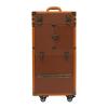 Beauty Salon Luggage, Makeup Organizer Rolling Makeup Hairdressing Train Case Cosmetic Travel Organizer Tool Box, Portable Lockable Salon Cart Travel Cosmetology Case on Wheels (Coffee Color) view 1
