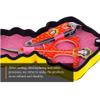A1DFDFGOQSFG Peking Opera Manicure Set Painted Nail Care Set Cartoon Pedicure Kits Nail Clippers,Oblique Nail Clippers,Four-Color,Gifts (Color : Yellow) (Yellow) view 2