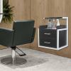 BAIODNB Salon Wall Cabinet with 2 Drawers, Wall Mounted Salon Storage Organizer with Hair Dryer Holder, Hair Station for Beauty Spa Barbershop (Black+ Silver) view 2
