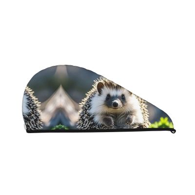STVYUKL Hedgehog Sitting On Top Hair Drying Cap Super Absorbent Soft Hair Drying Towel Quick Dry Coral Velvet Drying Hair Caps Hair Turban for Women Wet Hair Long Thick Hair