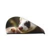 LHBWCVN Ferret Hair Towel Wrap for Women Hair Cap Coral Velvet Hair Drying Cap with Button Super Absorbent Hair Drying Towel Quick Dry Hair Turban for Wet Hair Long Thick Hair view 1