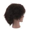African Mannequin Head Curly Human Hair Black Skin PVC Resin Cosmetology Doll for Haircut Styles Display view 3