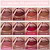 evpct Maroon Chestnut Red Matte Creamy Retractable Lip Liner Pencils for Women Shaping & Sculpting Lips, Lip Liner Long Lasting Waterproof Rich Lip Colors Liner Crayon Lipstick delineador de labios view 3
