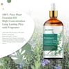 GOSNLDOW Rosemary Essential Oil for Hair Growth & Scalp Care - 3.38 Fl Oz (100ml) 100% Pure Organic Cold Pressed Oil in Glass Bottle - Aromatherapy Diffuser, Skin & Nail Treatment(Large, Rosemary) view 2