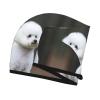 STVYUKL Bichon Frise Hair Drying Cap Super Absorbent Soft Hair Drying Towel Quick Dry Coral Velvet Drying Hair Caps Hair Turban for Women Wet Hair Long Thick Hair view 3