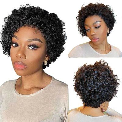 13X4 Short Curly Lace Front Wigs Pixie Cut Wig Human Hair HD Lace Front Wigs Human Hair Pre Plucked for Women 4 inch Natural Color