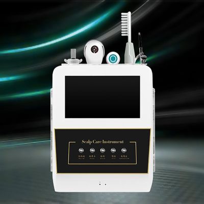 CHIPEL Scalp Hair Detection, Hair Follicle Analyzer, Facial Skin Diagnostic System with 5 Handles and LCD Screen, Freeze Frame Saving, Electric Massage Head Grip, 1080 Imaging, Home use, Salon spa