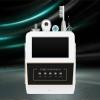 CHIPEL Scalp Hair Detection, Hair Follicle Analyzer, Facial Skin Diagnostic System with 5 Handles and LCD Screen, Freeze Frame Saving, Electric Massage Head Grip, 1080 Imaging, Home use, Salon spa view 1