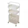 Beauty Salon Trolley,Space Saving Rolling Beauty Cart,Rolling Storage Station Esthetic Supply Holder for Beauty Spa Cosmetology Massage, Tattoo Manicure Tool Holder Station(White) view 1