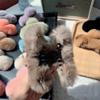 Claw Clips Barrettes,Plush Hair Catch. Rabbit Fur Hair Claw Clips Plush Hair Catch Sweet Fluffy Barrette Jaw Clamp for Thick Hair Nonslip Hairpin Women blue(Beige,11 CM) view 3