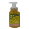 Pineapple Mango Gentle + Clean Foaming Hand Soap 8.75 fl oz / 259 mL [2024] view 1