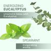 Luxury Foaming Bath - Natural Scented Bubble Bath with Essential Oils and Epsom Salt - Energizing Eucalyptus Scent, 33.8 fl oz / 1L view 2