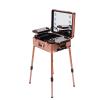 20" Aluminum Trolley Makeup Train Case with Mirror &LED Lights, Professional Cosmetic Organizer Makeup Suitcase with Wheels, Portable Makeup Vanity Rolling Vanity Makeup Station for Travel (Rose Gold) view 1