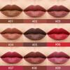 Hxssll Sculpting Matte Lip Liner pencil,Gradient Matte Lipstick Crayon,Smooth Creamy Texture lip Pencil, Waterproof Smudge Proof Lipstick Pencil,Highly Pigmented Lip Makeup,Vegan Beauty.05#+08# view 4