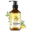 Ginger Hair Shampoo, Natural Ginger Anti-Dandruff Shampoo for Anti Hair Loss Cleansing Moisturizing Control Frizz for Strengthening Hair for All Hair Types, Men and Women Travel Size - 3.38 fl oz view 1