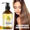 Ginger Hair Shampoo, Natural Ginger Anti-Dandruff Shampoo for Anti Hair Loss Cleansing Moisturizing Control Frizz for Strengthening Hair for All Hair Types, Men and Women Travel Size - 3.38 fl oz view 3