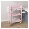 DHNDSDP Esthetician Cart with Handles with Bucket and Basin Rolling Cart Salon Trolleys with Drawers Categorized Storage Storage Cart Raised Guardrail Quick Release Design(Pink) view 1