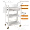 DHNDSDP Esthetician Cart with Handles with Bucket and Basin Rolling Cart Salon Trolleys with Drawers Categorized Storage Storage Cart Raised Guardrail Quick Release Design(Pink) view 2