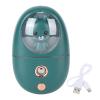 Face Sprayer, Cute Animal USB Rechargeable Face Humidifier Handheld Humidifier Portable Facial Steamer For Travelling 35ml 500mah (Green) view 1