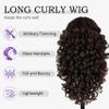 SOKU Long Curly Brown Wig, 22 Inch Glueless 13x4x1 HD Lace Front Wigs for Black Women Pre-Plucked Hairline with Baby Hair Lightweight Synthetic Curly Layered Hair Wigs(Dark Brown) view 3