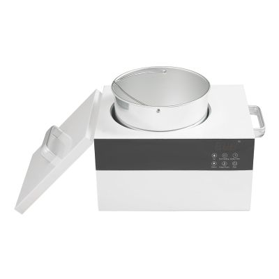 2.5L Professional Wax Warmer for Hair Removal, Electric Wax Warmer,Large Wax Pot for Salon and Self-Use