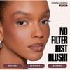 Huda Blush Filter Liquid Blush - Coco Loco - (medium to rich) - 0.15 fl oz / 4.5 mL view 4