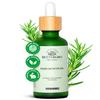 BetterGRO Organic Hair Growth Oil  Herbal & Natural Blend with Rosemary, Black Seed, Amla, Pumpkin Seed & More  Supports Growth, Strengthens Roots, Vegan & Cruelty-Free (1.7 fl oz) view 1