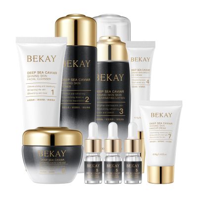 AESTHTANY 9-In-1 Skin Care Set For Women Moisturizing Rejuvating Anti-Wrinkle Skin Care Kit For Women's Daily Skincare Routine