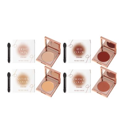 Colored Clay Undereye Corrector, Waterproof Moisturizing Under Eye Concealer, Colored Clay Undereye Corrector for Covers Eye Dark Circles (Combination, 5G)