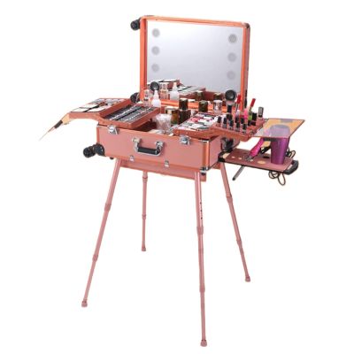 HKNNSDEED Rolling Makeup Train Case,Hairdressing Beauty Case Aluminum Trolley Case with Large Storage & 643 Wheels Hairdressing Beauty Case(A)