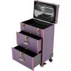 HKNNSDEED Rolling Makeup Train Case,Hairdressing Beauty Case Aluminum Trolley Case with Large Storage & 438 Wheels Hairdressing Beauty Case view 3