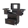 HKNNSDEED Rolling Makeup Train Case,Hairdressing Beauty Case Aluminum Trolley Case with Large Storage & 678 Wheels Hairdressing Beauty Case(Dark Curry) view 1
