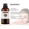 100% Pure Castor Essential Oil for Hair Growth,Non-GMO High Oleic Natural Organic Castor Seed for Skin,Dry Damaged Body & Face Moisturizing view 4