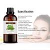 100% Pure Amla Oil Essential Oil for Hair Growth,Premium Carrier Oil,Body & Face Moisturizing,Scalp Massage, Natural Organic for Skin,Hair Dry Damaged view 4
