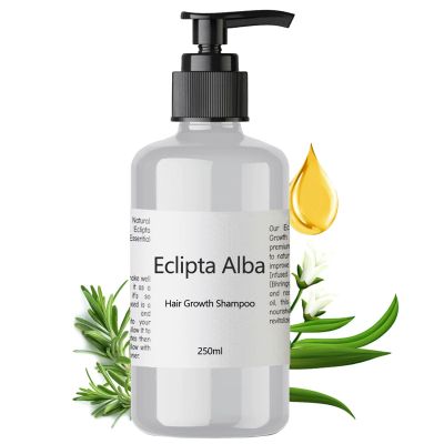 Eclipta Alba Shampoo for Hair Growth with Organic Bhringraj Oil, Strengthens & Nourishes Hair, Prevents Hair Loss, Safe for All Hair Types  250ml