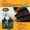 Peppermint Tea Tree Special Shampoo and Conditioner Set (33.8 0z)- Elata de Breeze with Scalp Massager Brush | Soothes Itchy Scalp, Deep Cleans & Hydrates  For All Hair Types 33.8 oz each view 4
