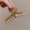 FMURY Autumn and winter acrylic curry pearl rhinestone grab clip female back of the plate hair shark clip large hair clip hair card headdresses view 3