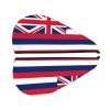 ChenGua Hawaii Flag Coral Velvet Dry Hair Cap - Super Absorbent Hair Towel Wrap Microfiber Hair Turban for Women Men view 2