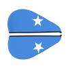 ChenGua Somali Flag Coral Velvet Dry Hair Cap - Super Absorbent Hair Towel Wrap Microfiber Hair Turban for Women Men view 2